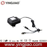 6W DC Variable Power Adaptor with CE