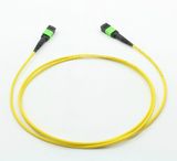 MTP/MPO Singlemode 12cores Fiber Optic Patch-Cord