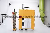 Dirk Wireless Remote Control for Crane F21-20d