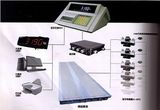 Weighing Capacity Digital Electronic Truck Scale Weighing Load Series