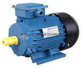 Y2 Series AC Three-Phase Induction Motor