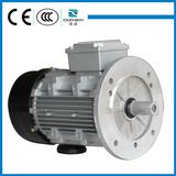 MS Series Three Phase Induction Motor with B5 Flange