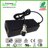 DOE VI Desktop DC Output 5A 12V Power Adapter for Hoverboard
