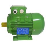 Ie2 Ye2 High Efficiency Three Phase AC Motor Cast Iron Frame Electrical Motor Engine