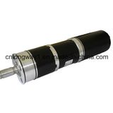 24V PMDC Planetary Gear Motor for Golf Trolley