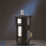 Light Duty Vertical with Aluminum Mounted AC Geared Motor_D