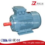 Ye3 Premium Efficiency Electric Motor
