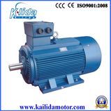 Y2 Series Three Phase Induction Electrical Motor with Ce, CCC Certificate
