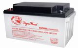 Gel Batteries 6gfm65 Long Duration Deep Cycle for Solar Purpose