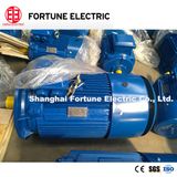 Hot Sell Ye2 Series Three Phase Induction Blower AC Motor