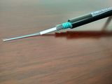 Fiber Optic Cable with Beauty Price Gyxts