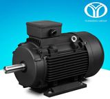 Permanent Magnet AC Synchronous Motor (22kw, 30kw, 380V-50Hz)