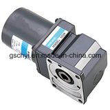 GS High Quality 80mm Worm Gear Angle Motor