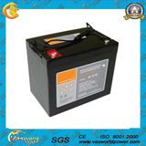 Vasworld Power 12V80ah Deep Cycle Battery