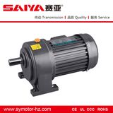 Ce RoHS Small AC Gear Motor