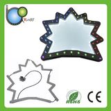 LED Light Flexible Printed Circuit Board with LED Controller