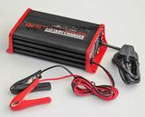 Lead Acid Storage Battery Charger for Electric Bicycle/Car
