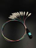 MPO -Sc Fiber Optic Patch Cord mm for Optical Fiber Communication Systems