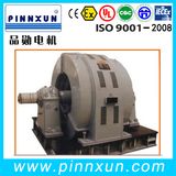 T Series Three Phase Synchronous Motor 600kw