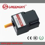 7070 15W Speed Control Motor AC Motor Gear Motor