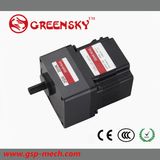 GS 15W 60mm Brushless DC Motor with High Quality