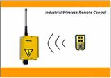 Remote Control of Wireless Remote Control Grab