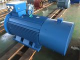 Electric Motor/ AC Motor/ Hv Motor/Inducton Motor