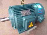 YVF2 Frequency Variable Speed Motor