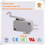 Lema CCC Ce UL VDE Kw7-5I Micro Switch