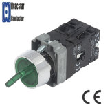2 Position Select Push Button Switch with Light