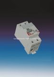 Sll8-100 Series 2p 4p Residual Current Circuit Breaker RCCB