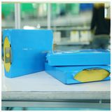 25ah, 50ah, 75ah, 100ah 3.2V Li Ion Battery Cell/Li-ion/The Lithium Battery