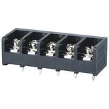 Wanjie PCB Barrier Terminal Block (WJ46-9.5mm)