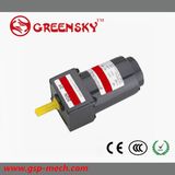 Speed Adjustable 6W Micro AC Motor