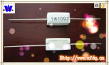 Rx27-1 Wirewound Fixed Resistor with RoHS