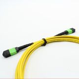 MTP/MPO Singlemode 12cores Fiber Optic Patch-Cord