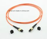 MPO-MPO mm 62.5/125 12cores Optical Fibe Patchcord