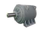 75r/Minpmm System for Belt Conveyor in The Non Explosion-Proof Industry