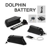 36V 10.4ah Down Tube Type Battery with Charger