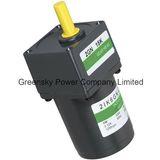 6W 60mm AC Induction Motor