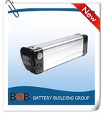 Free Shipping 48V 10ah Lithium Battery Pack
