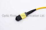 12f 3mm Round PVC Jacket Cable MPO-MPO Patchcord Jumper Optical Fiber Connector Sm mm