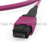 32f Om4 MPO-MPO Patchcord Jumper Optical Fiber Connector mm