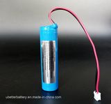 Lithium Rechargeable Battery for Power Bank