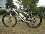 Cylindrical 36V 10ah Rechargeable Lithium Battery Pack for Mini-Ebike