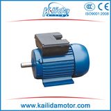 Monophase Capacitor AC Induction Motor