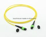 MTP/MPO 12cores Fiber Optic Patch-Cord