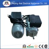 Single Phase Asynchronous High Torque 110 Volt AC Gear Motor