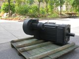 NHL Yjp Ie4 Brake Motor Three Phase Induction Motor