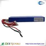 Rechargeable LiFePO4 Battery Pack 32V1.1ah